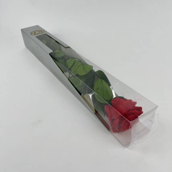 Stabilizovaná ruža v darčekovom balení