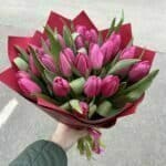 Kytica 25 čerstvých tulipánov