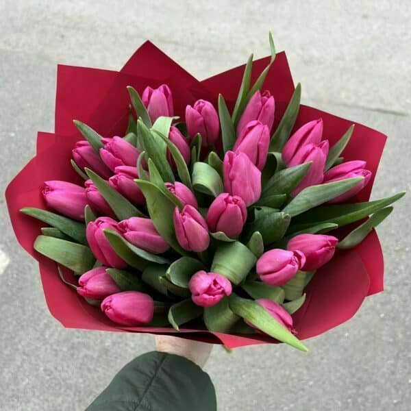 Kytica 25 čerstvých tulipánov