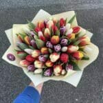 Kytica 50 čerstvých tulipánov