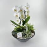 Kvetinový aranžmán s Bielou orchideou