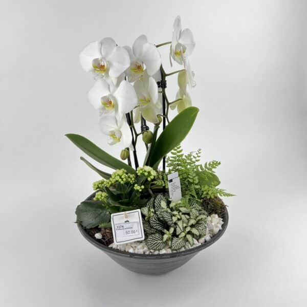 Kvetinový aranžmán s Bielou orchideou