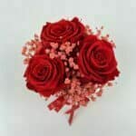 Trvácne ruže Red in Pink 3