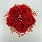 Trvácne ruže Red in White