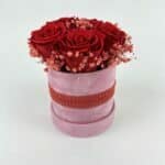 Trvácne ruže Red in Pink 2