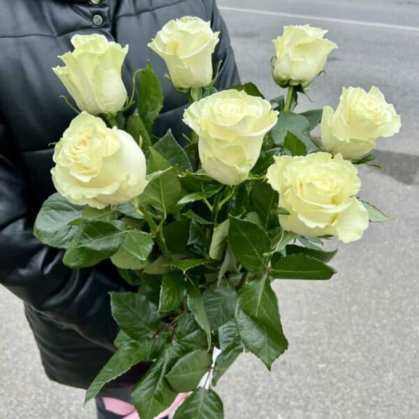 Kytica 7 bielych ruží
