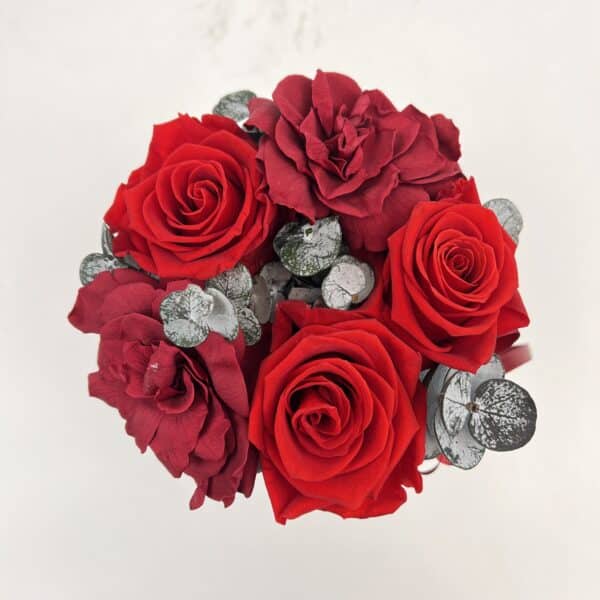 Trvácne ruže Red in grey 2