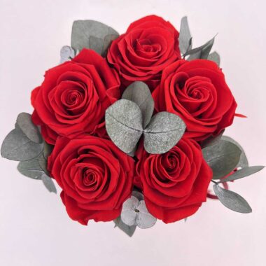 Trvácne ruže Red in red