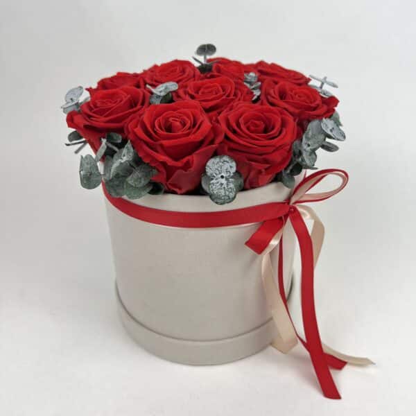 Trvácne ruže Red in cream 2
