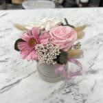 Trvácne kvety Pink in grey