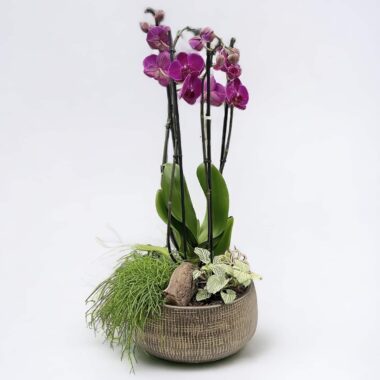 Kvetinový aranžmán s orchideou v luxusnej mise