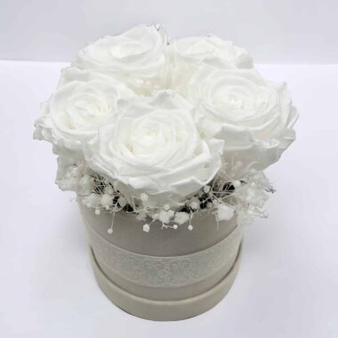 Trvácne biele ruže v krémovom boxe